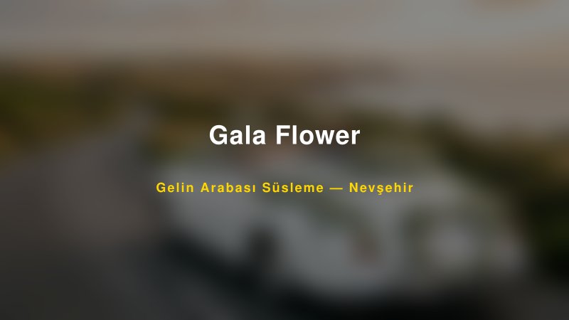 Gala Flower Nevşehir Gelin Arabası Süsleme